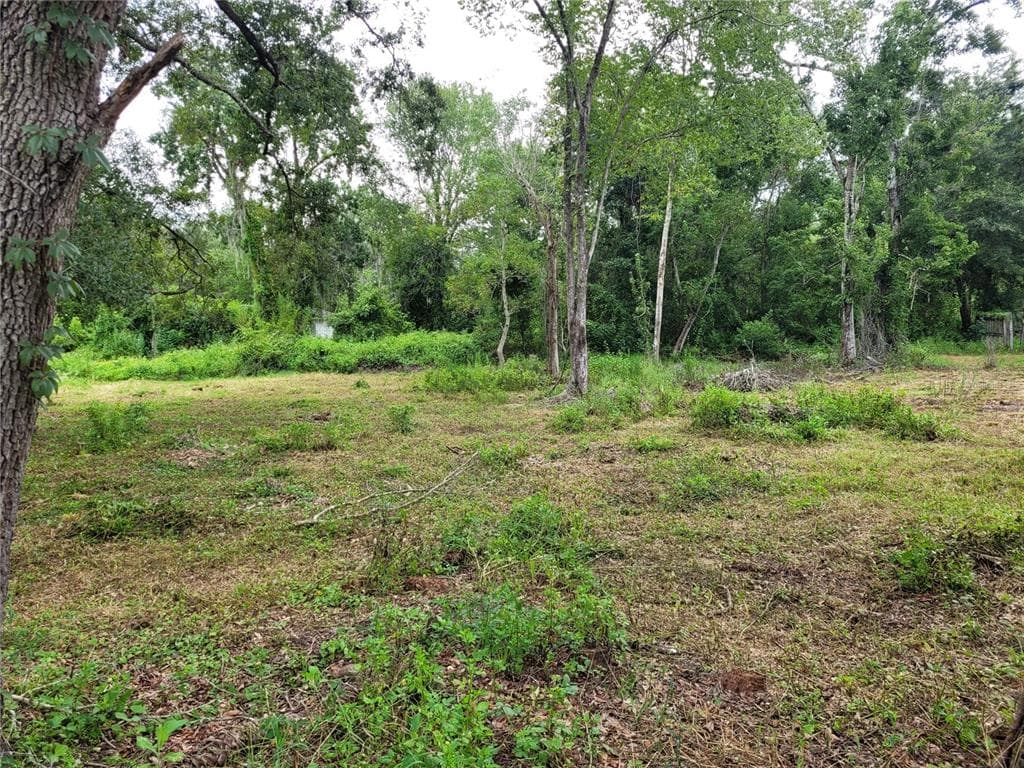 LAKE DRIVE NEW PORT RICHEY, FL 34654