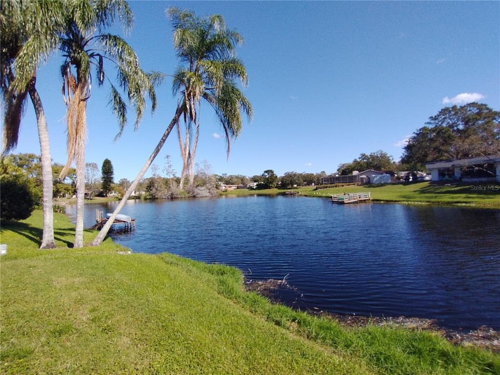 1291 S DISSTON AVENUE TARPON SPRINGS, FL 34689