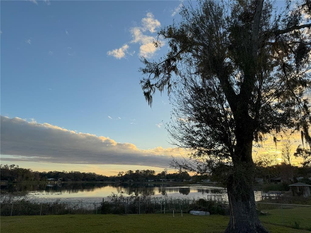 3922 LAKE JOYCE DRIVE LAND O LAKES, FL 34639