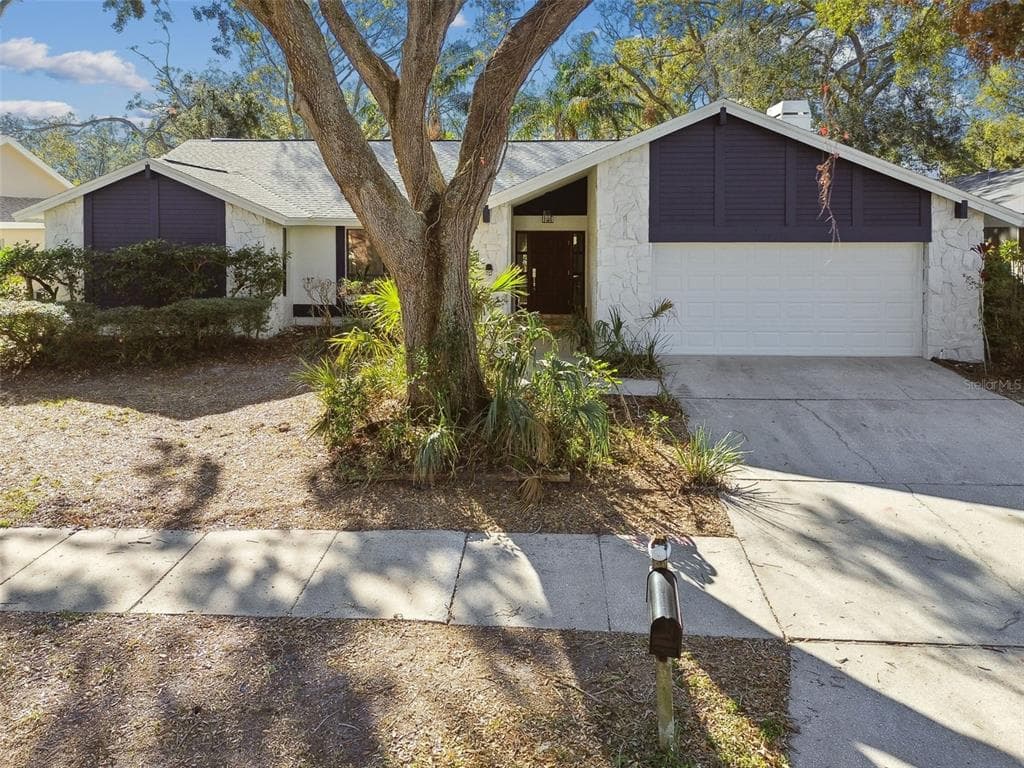 3113 BLUE HERON STREET SAFETY HARBOR, FL 34695