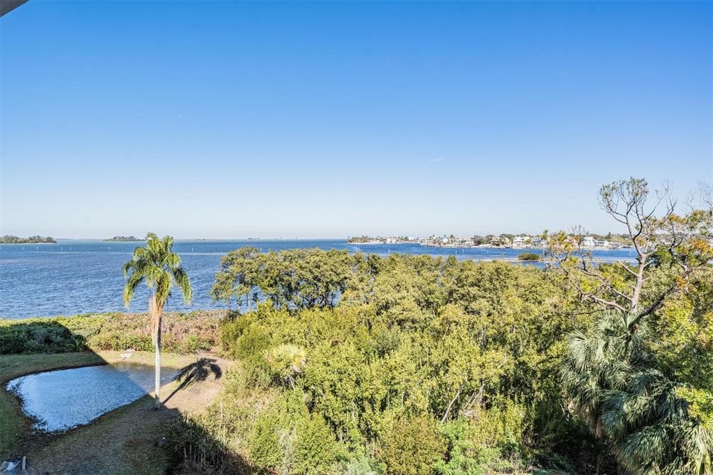 2700 BAYSHORE BOULEVARD UNIT 11301 DUNEDIN, FL 34698