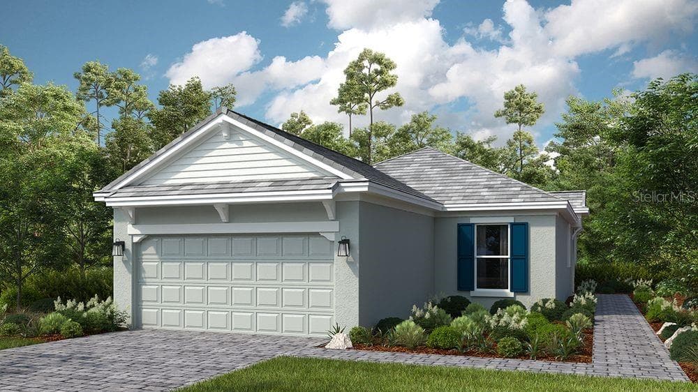 29555 ZUPETTA LANE WESLEY CHAPEL, FL 33545