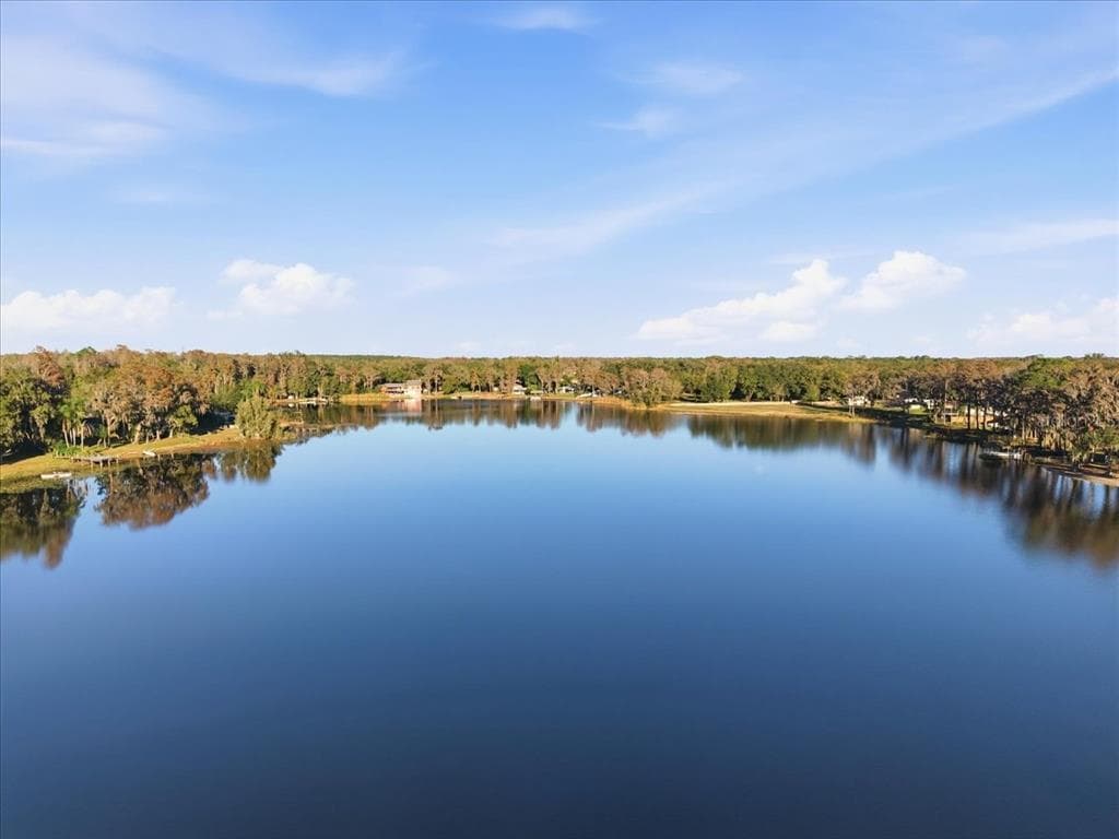16921 CRAWLEY ROAD ODESSA, FL 33556
