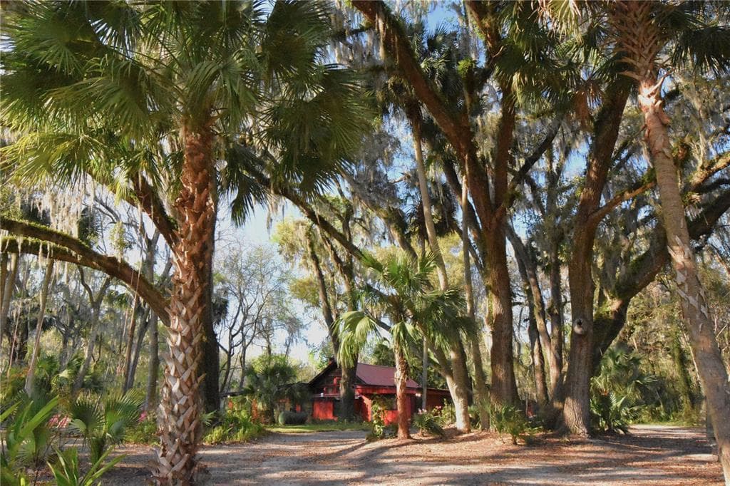 1302 SE WACAHOOTA ROAD MICANOPY, FL 32667