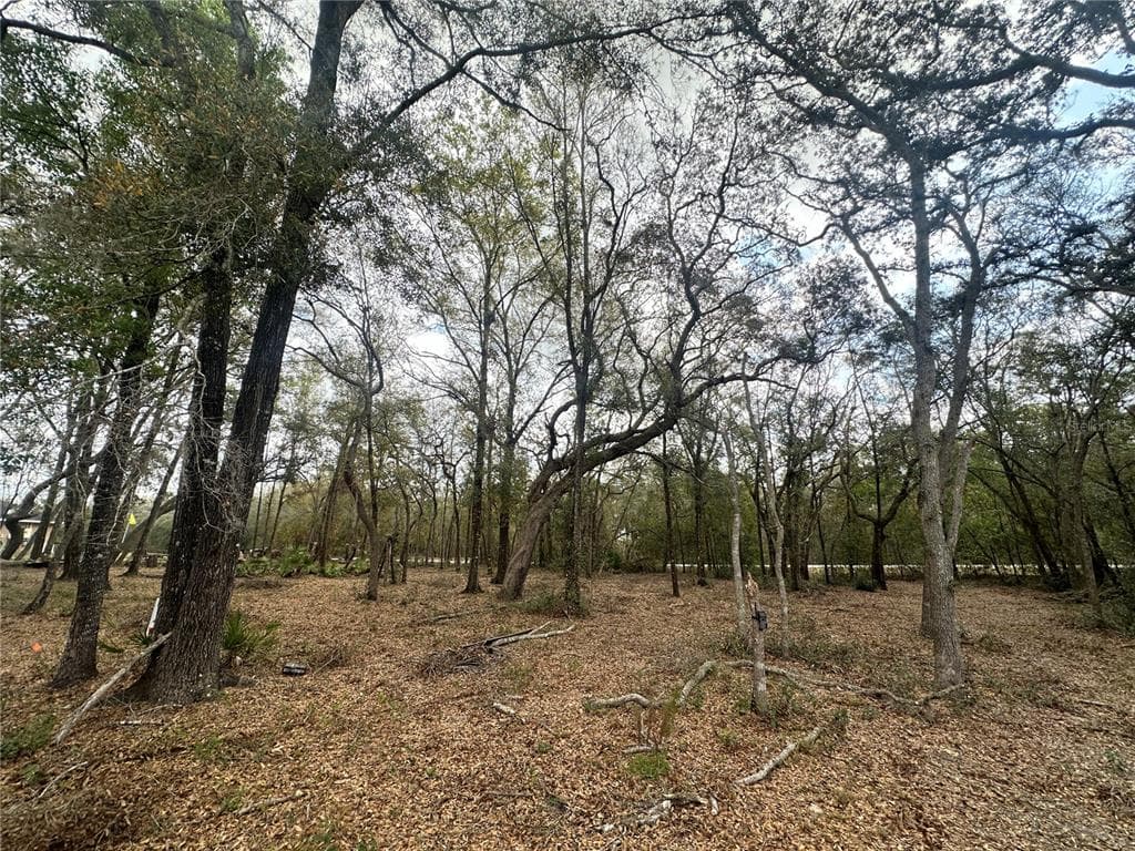 9035 REALSTONE DRIVE