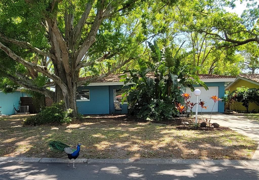 2047 INDIGO DRIVE CLEARWATER, FL 33763