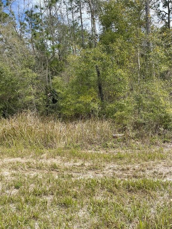 14139 PIGEON ROAD HUDSON, FL 34669