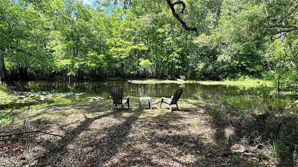 29133 LAWTON DRIVE NOBLETON, FL 34661
