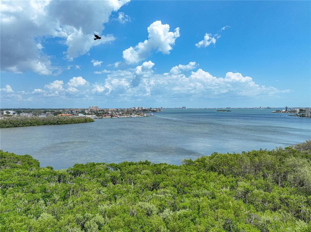 1332 PASADENA AVENUE S UNIT 503 SOUTH PASADENA, FL 33707