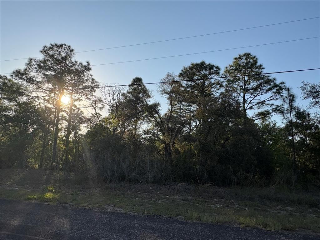 9172 N MARCUS WAY CITRUS SPRINGS, FL 34433