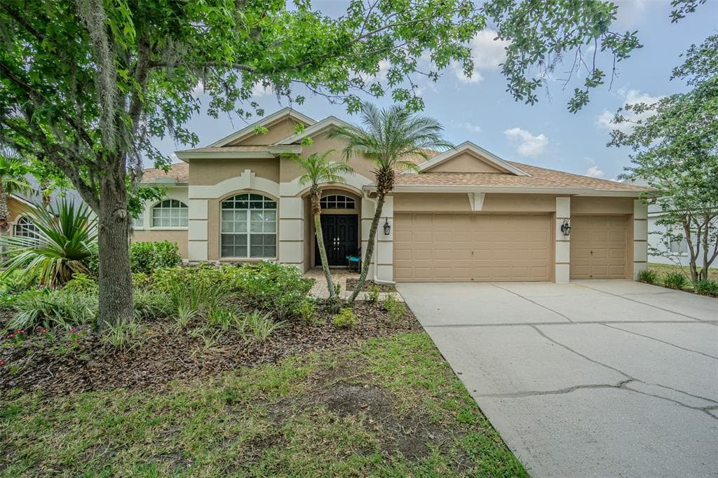 5317 PAGNOTTA PLACE LUTZ, FL 33558