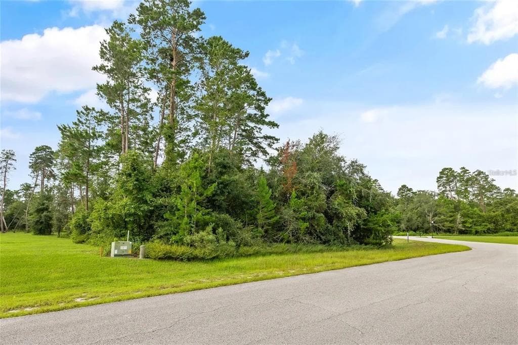 13615 GOPHER POND CT