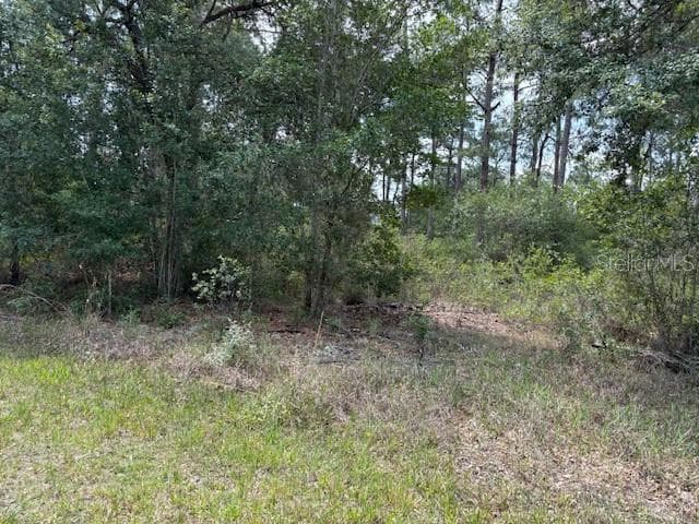 213 PLUMOSA DRIVE INDIAN LAKE ESTATES, FL 33855
