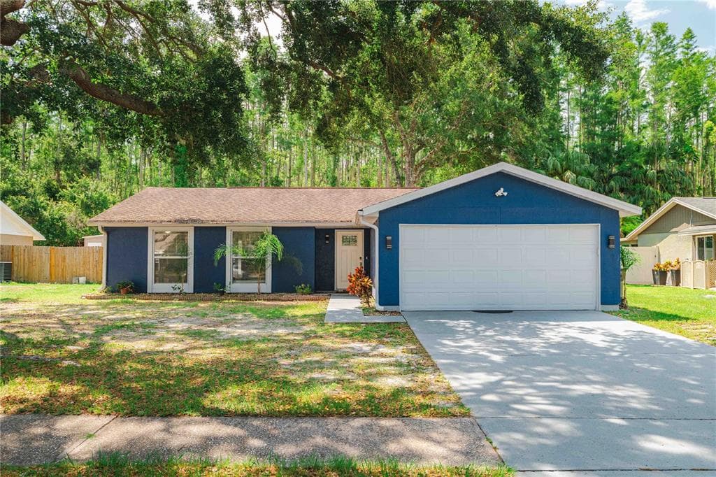 5346 BLACK PINE DRIVE TAMPA, FL 33624
