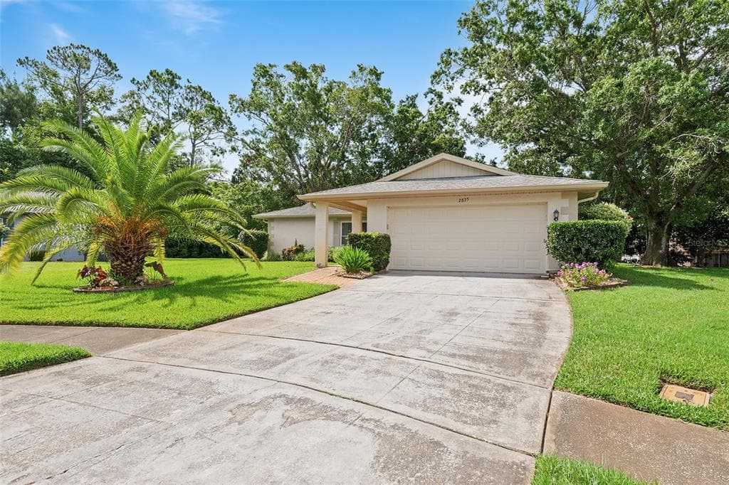 2875 LOMOND DRIVE PALM HARBOR, FL 34684