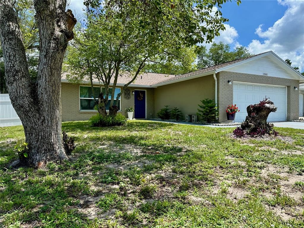 7301 MITCHELL RANCH ROAD NEW PORT RICHEY, FL 34655