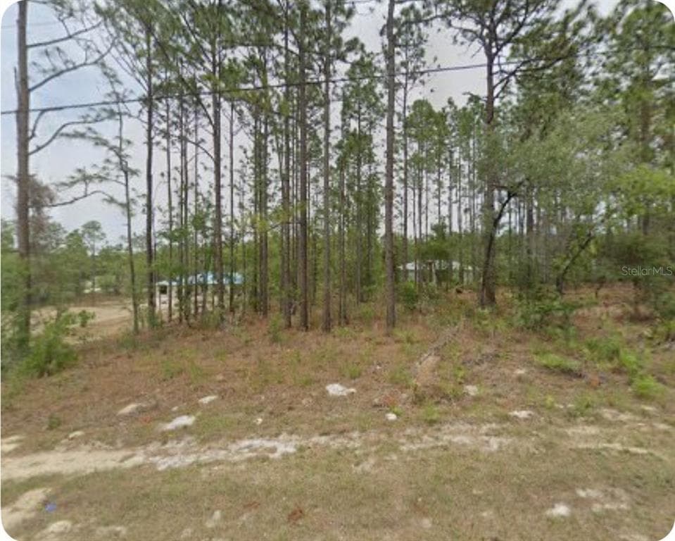 1561 W GAINSBORO LANE