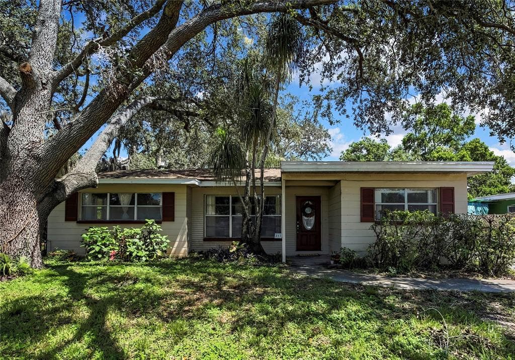 217 W BOUGAINVILLEA AVENUE TAMPA, FL 33612
