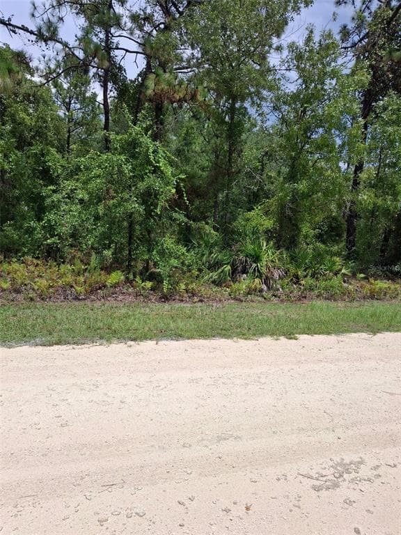 16026 SHELDRAKE LOOP WEEKI WACHEE, FL 34614