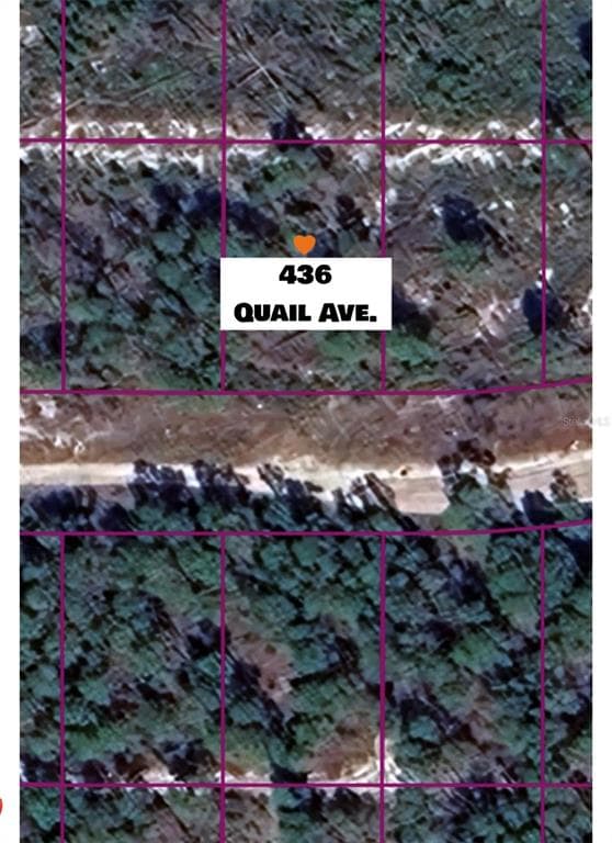 436 QUAIL AVENUE SEBRING, FL 33870