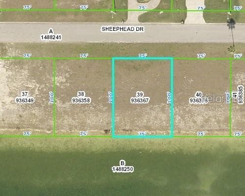 3464 SHEEPHEAD DRIVE HERNANDO BEACH, FL 34607