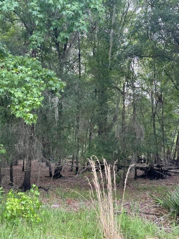 0 PALAMINO LAKE DRIVE DADE CITY, FL 33523