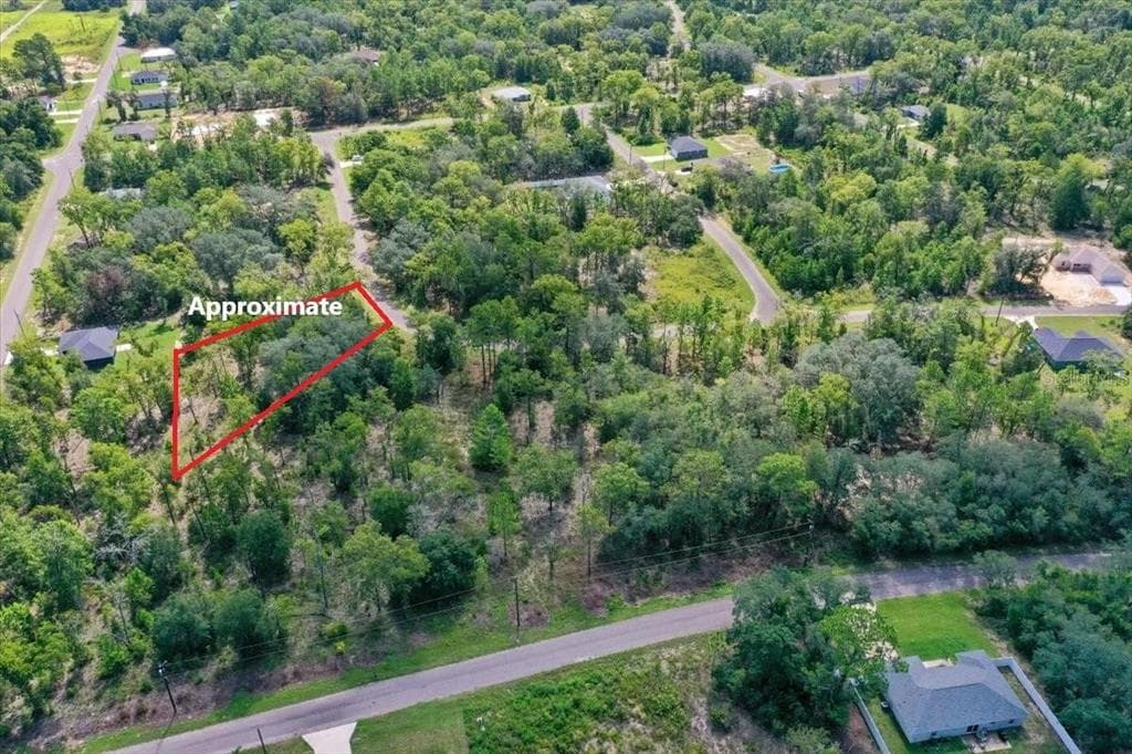 0024 GUAVA PASS DRIVE OCKLAWAHA, FL 32179