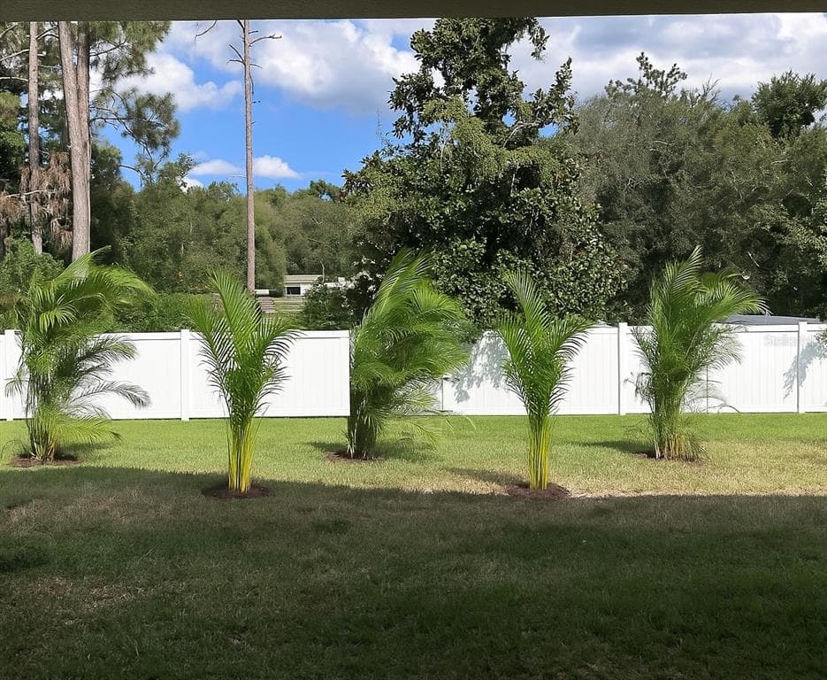 11468 WEAVER HOLLOW ROAD NEW PORT RICHEY, FL 34654