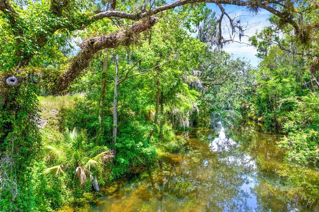 1115 MYRTLE ROAD VALRICO, FL 33596