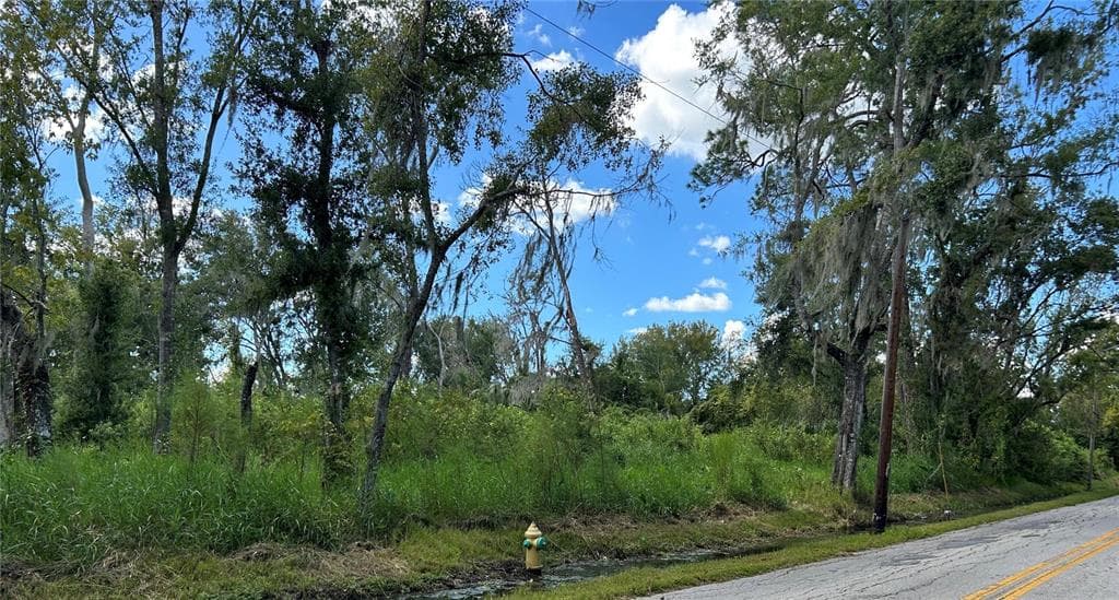 SEMINOLE LAKE BLVD & HICKMAN AVE PLANT CITY, FL 33563