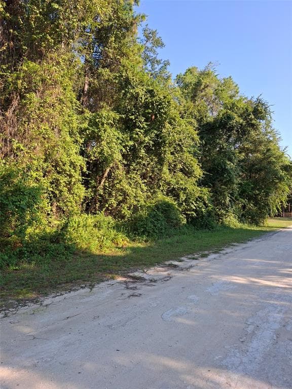 13414 CANYON SWALLOW ROAD WEEKI WACHEE, FL 34614