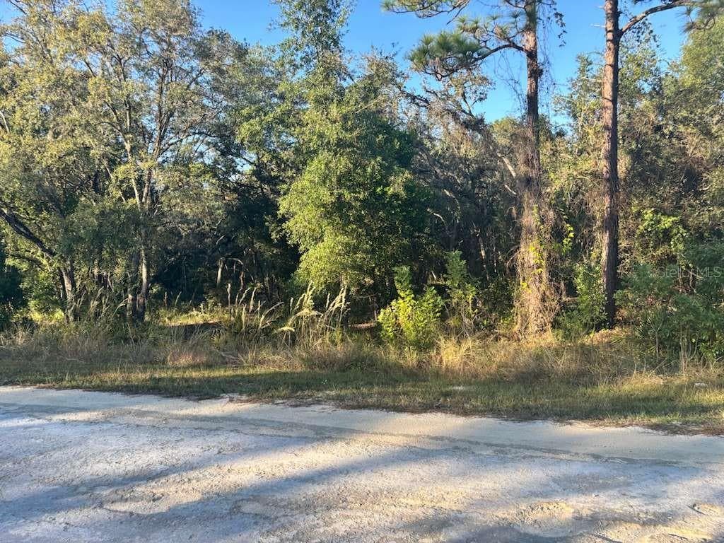 33193 EASTER DRIVE WEBSTER, FL 33597