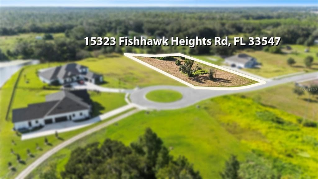 15323 FISHHAWK HEIGHTS RUN LITHIA, FL 33547