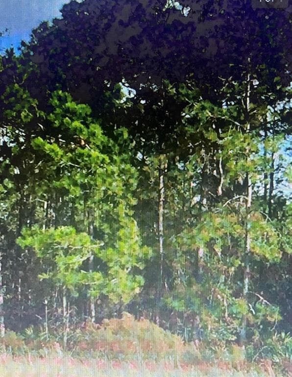 SW 194 ST, ARCHER,FL 32618 - O4462-011-000