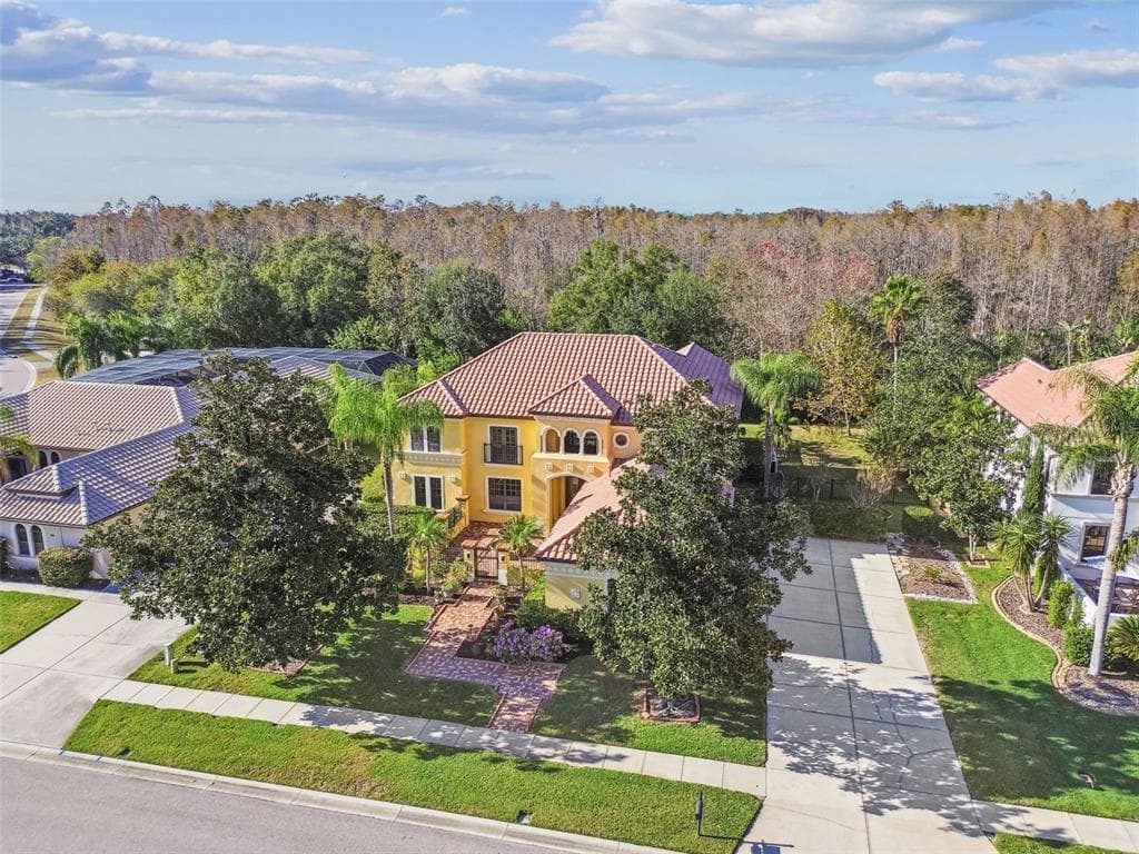 3811 IVYDALE COURT LAND O LAKES, FL 34638