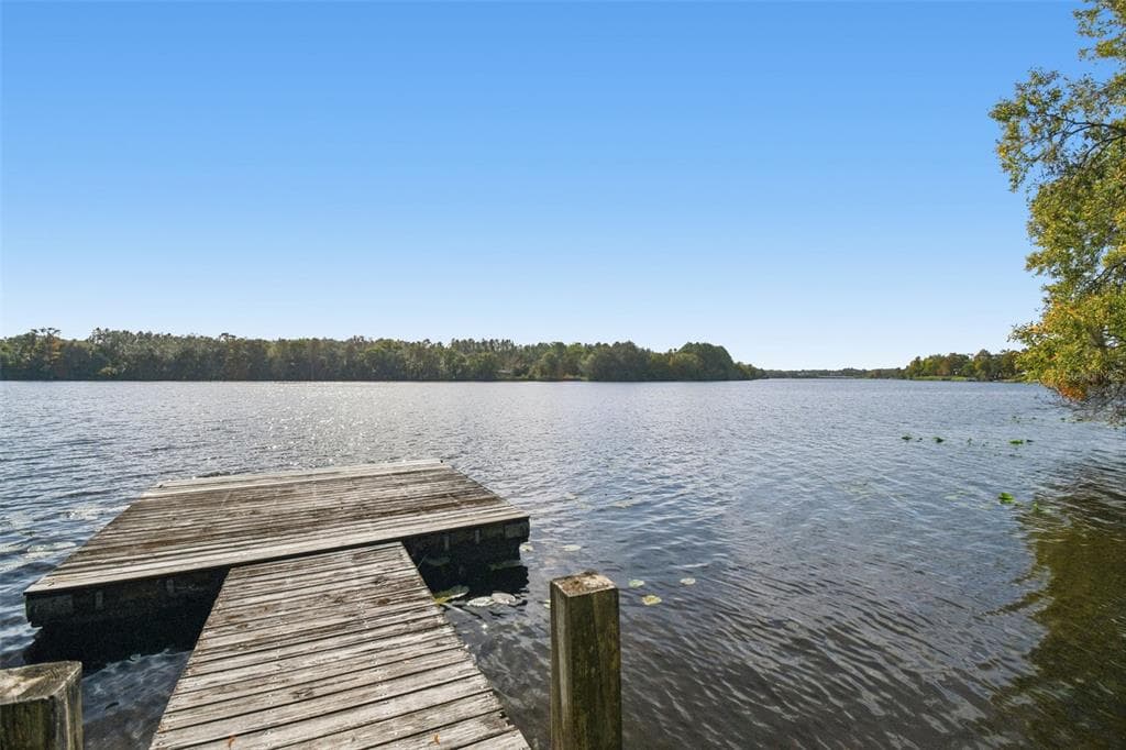 4601 RIVER HILLS DRIVE TAMPA, FL 33617