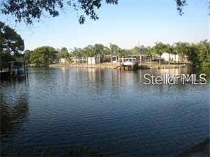 9105 TUDOR DRIVE UNIT 203 TAMPA, FL 33615