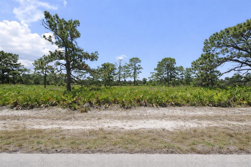 11 BETTY COURT PLACIDA, FL 33946