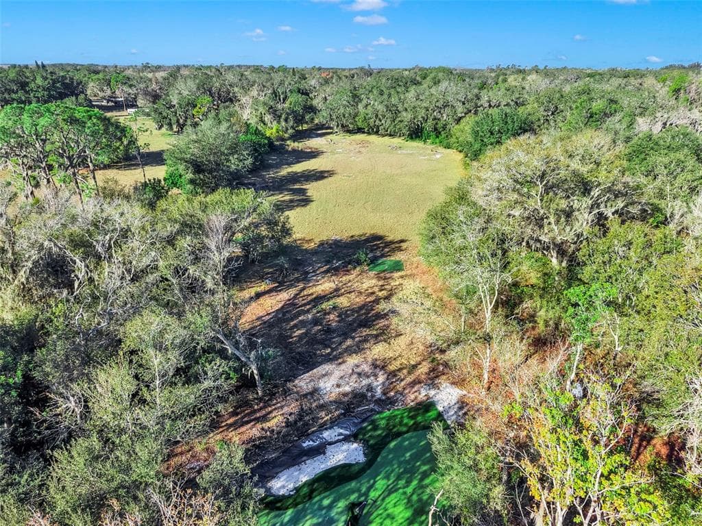 15024 CARLTON LAKE ROAD WIMAUMA, FL 33598