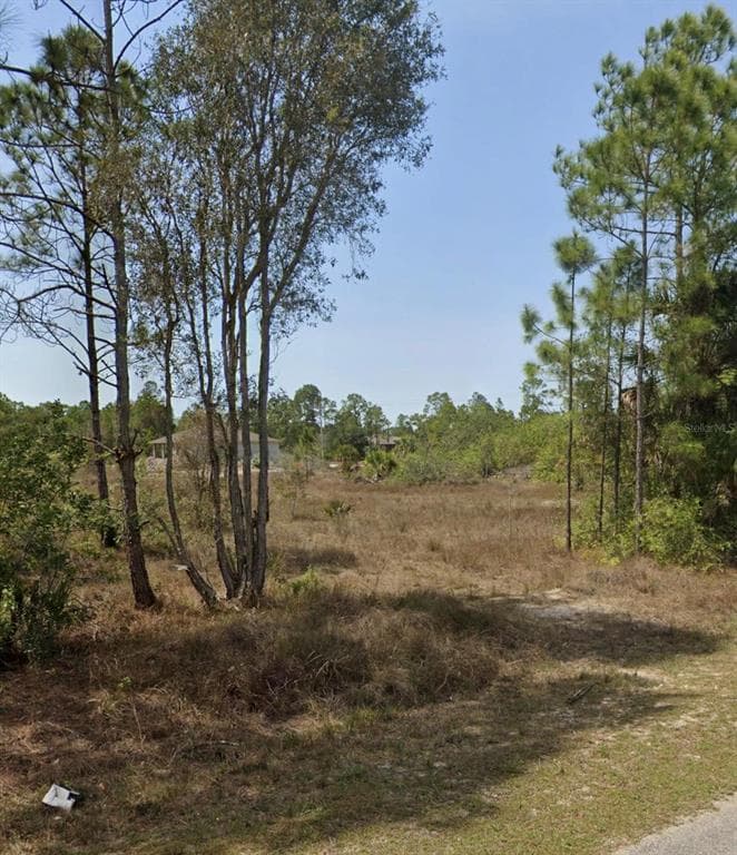 919 EUCLID AVENUE LEHIGH ACRES, FL 33972