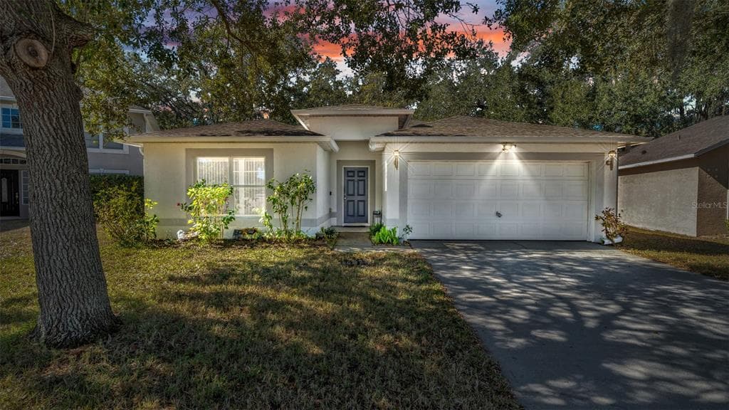 30244 BIRDHOUSE DRIVE WESLEY CHAPEL, FL 33545