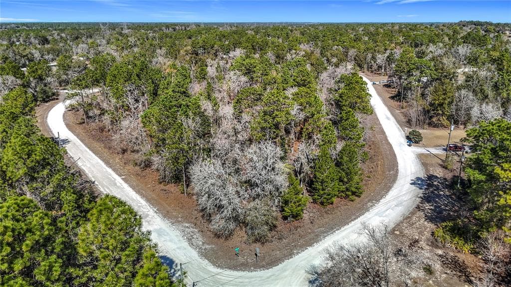 16070 SHELDRAKE LOOP WEEKI WACHEE, FL 34614