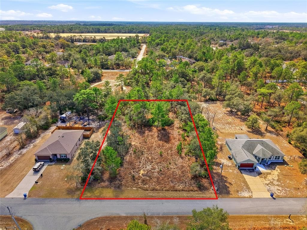 11263 MEXICAN CANARY AVENUE WEEKI WACHEE, FL 34614