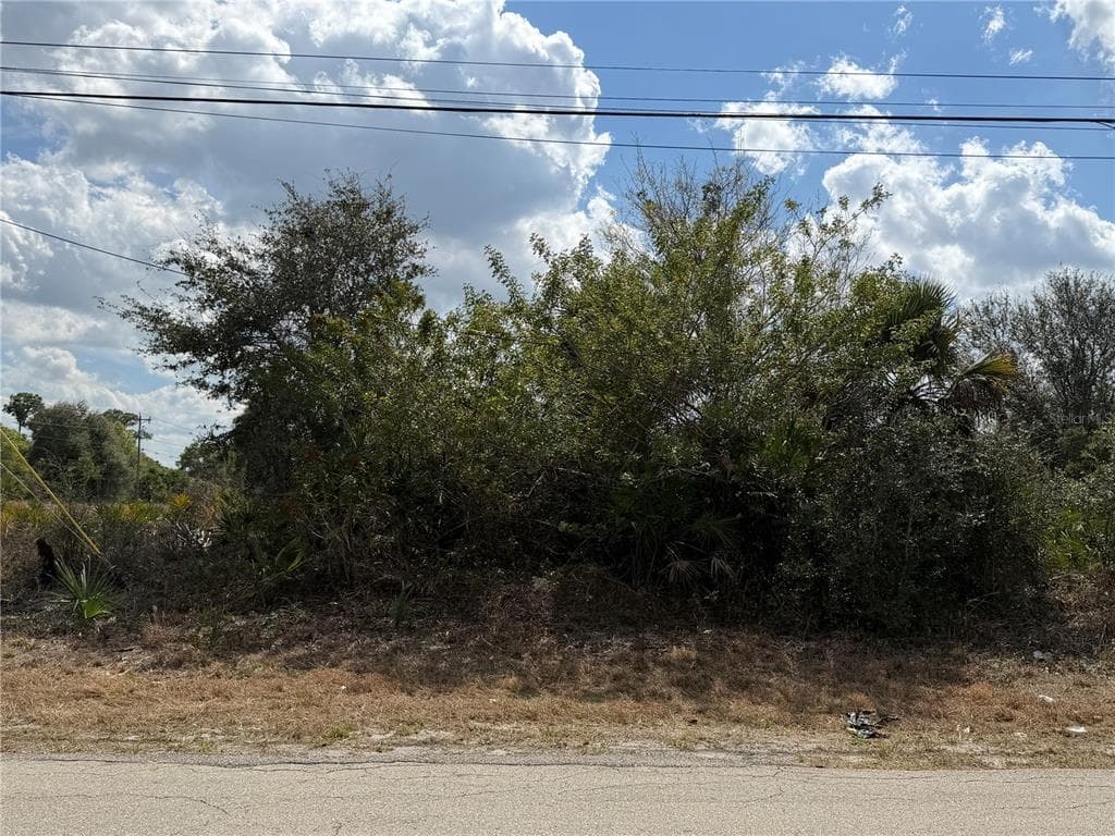 522 COLUMBUS BOULEVARD S LEHIGH ACRES, FL 33974