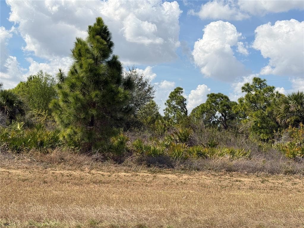 524 COLUMBUS BOULEVARD S LEHIGH ACRES, FL 33974
