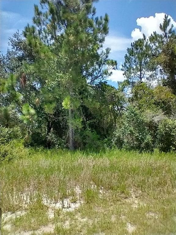 1322 TALLAHASSEE COURT KISSIMMEE, FL 34759