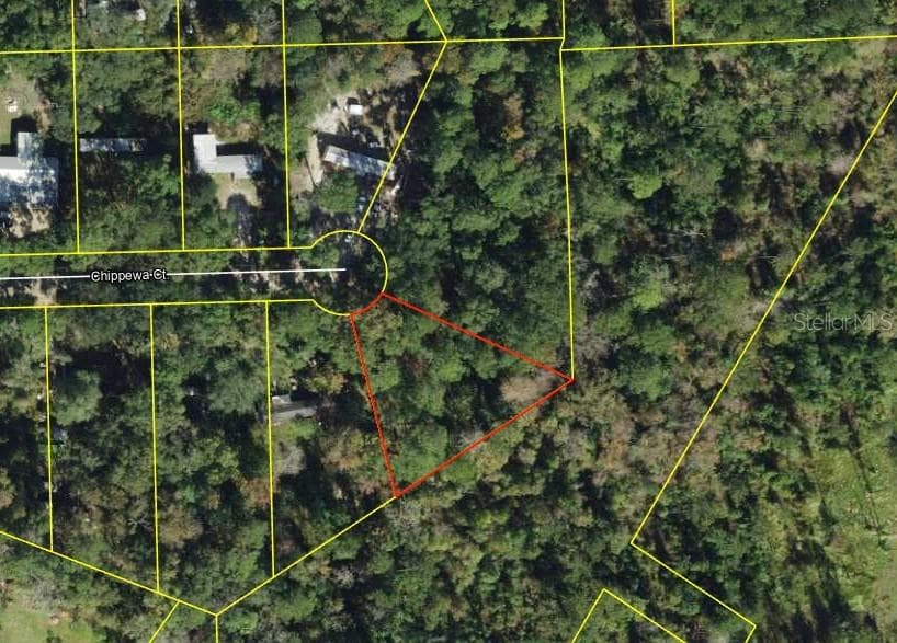 CHIPPEWA COURT HAVANA, FL 32333