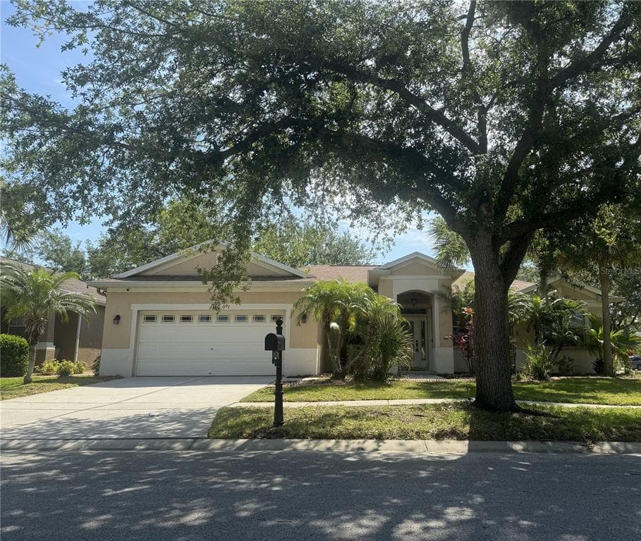11739 HOLLY CREEK DRIVE RIVERVIEW, FL 33569