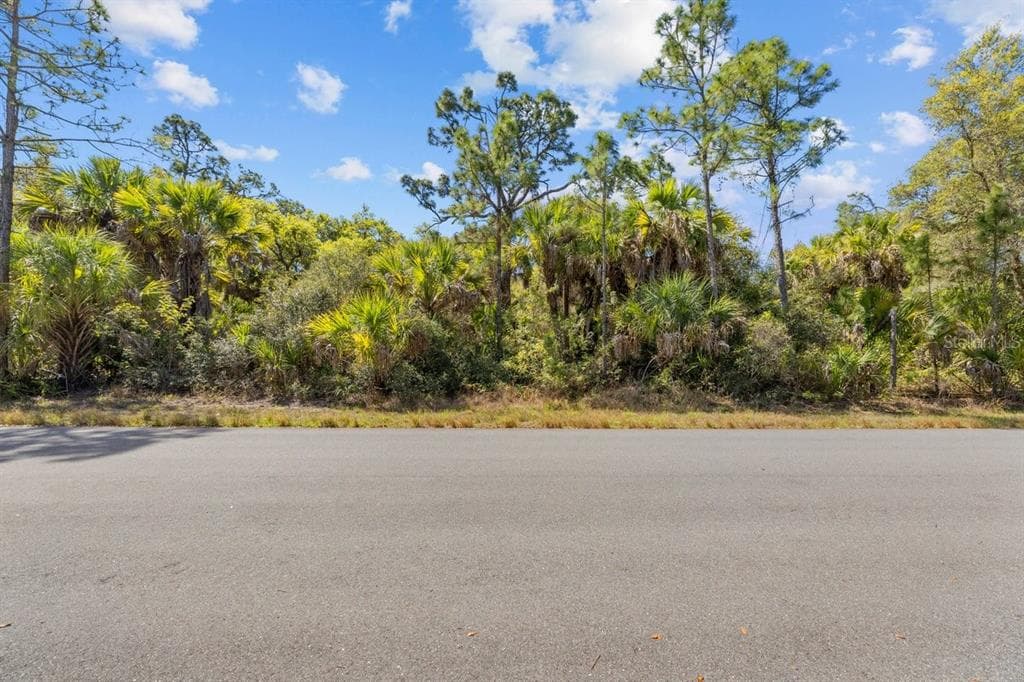 18047 SAVAGE AVENUE PORT CHARLOTTE, FL 33948
