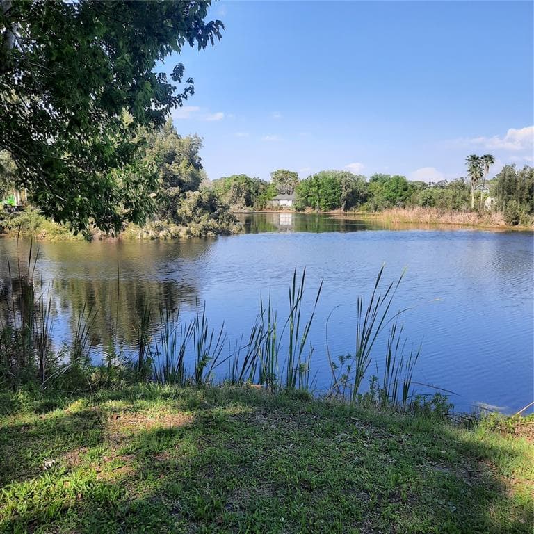 10502 HINDS PLACE ODESSA, FL 33556